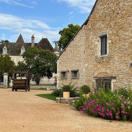 Chateau Du Mauny, Gites Et Chambres D'Hotes En Bourgogne Rosey Exteriér fotografie