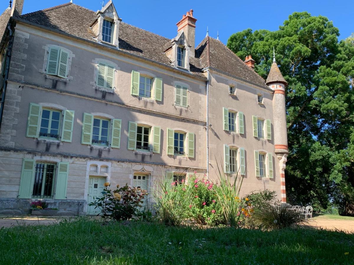 Chateau Du Mauny, Gites Et Chambres D'Hotes En Bourgogne Rosey Exteriér fotografie