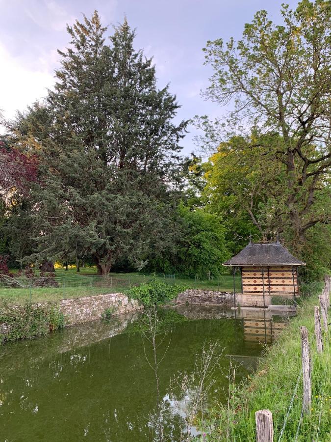 Chateau Du Mauny, Gites Et Chambres D'Hotes En Bourgogne Rosey Exteriér fotografie