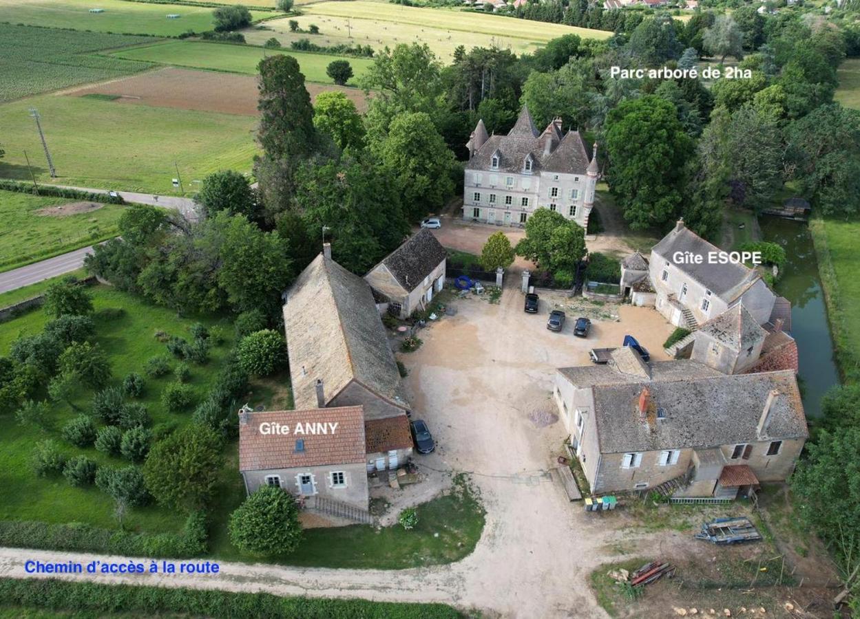 Chateau Du Mauny, Gites Et Chambres D'Hotes En Bourgogne Rosey Exteriér fotografie