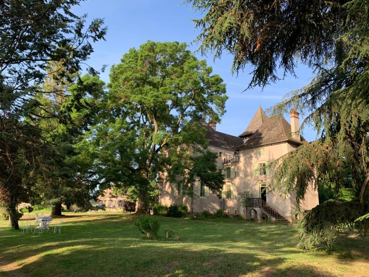Chateau Du Mauny, Gites Et Chambres D'Hotes En Bourgogne Rosey Exteriér fotografie