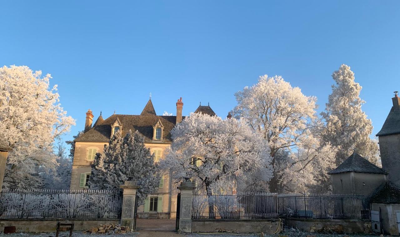 Chateau Du Mauny, Gites Et Chambres D'Hotes En Bourgogne Rosey Exteriér fotografie