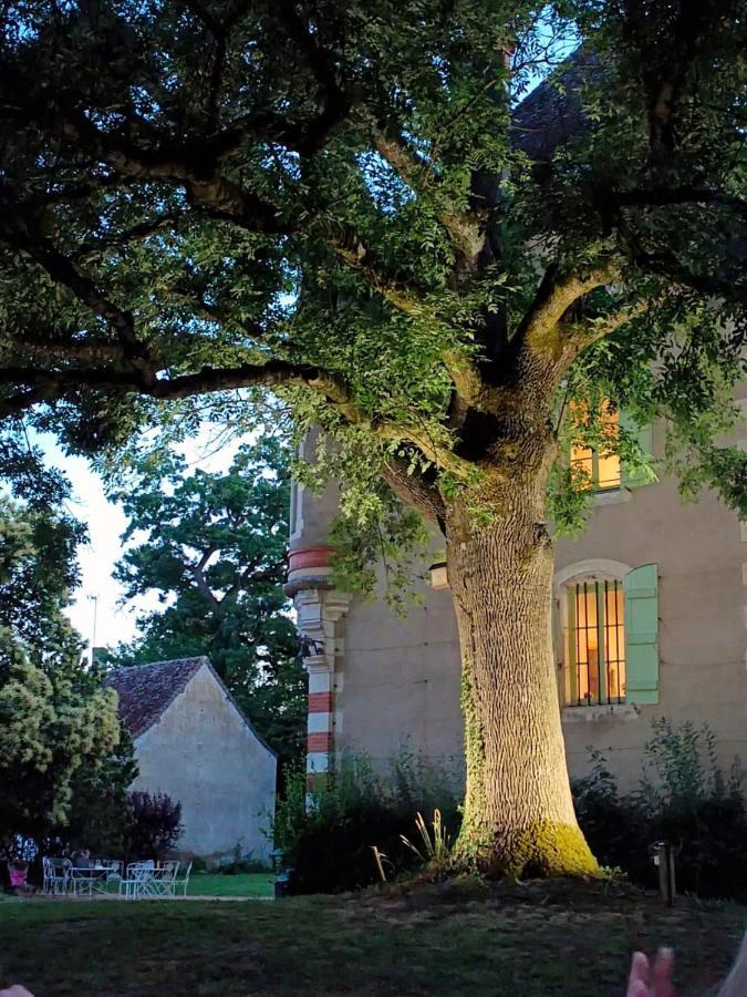 Chateau Du Mauny, Gites Et Chambres D'Hotes En Bourgogne Rosey Exteriér fotografie