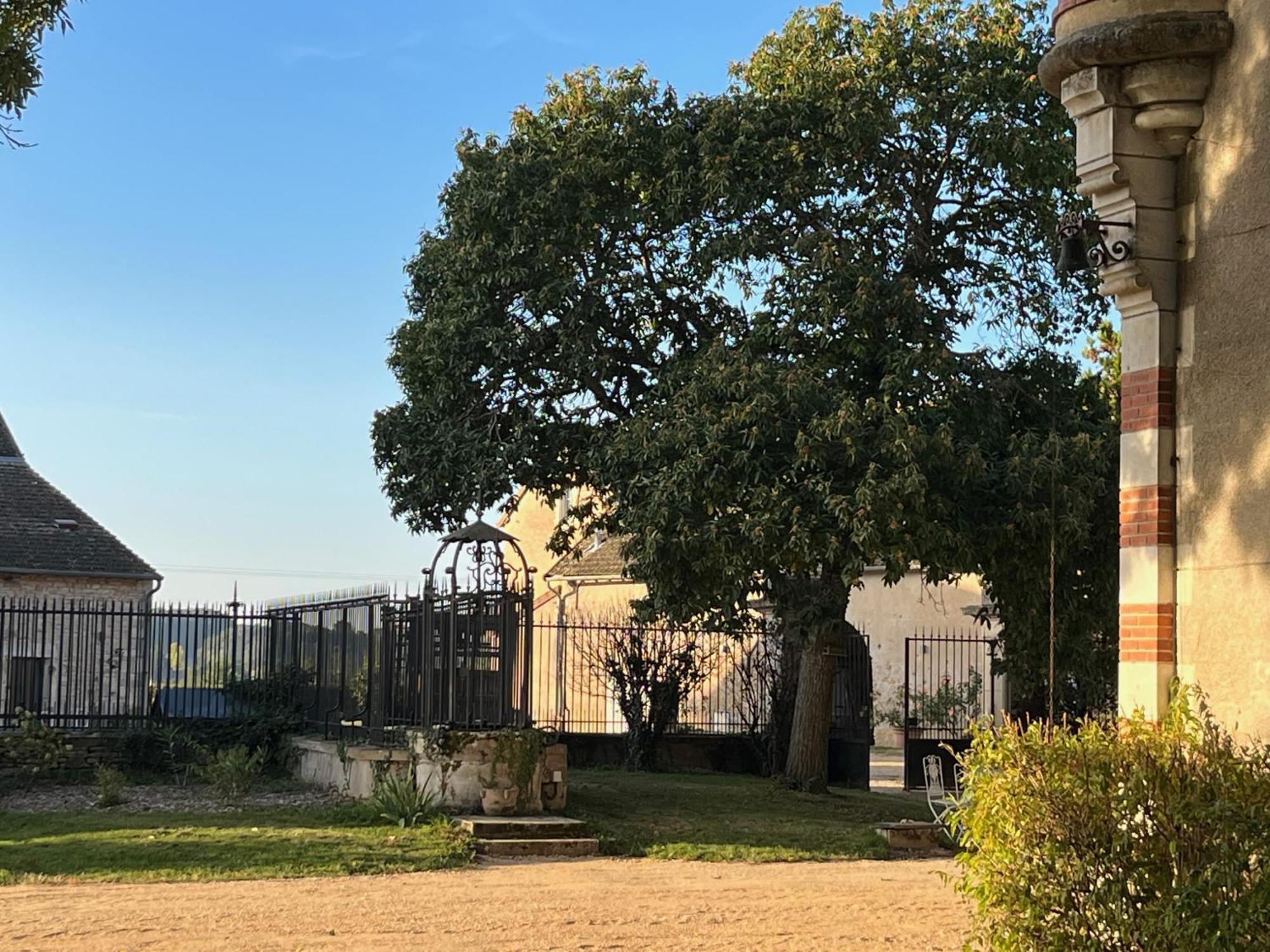 Chateau Du Mauny, Gites Et Chambres D'Hotes En Bourgogne Rosey Exteriér fotografie
