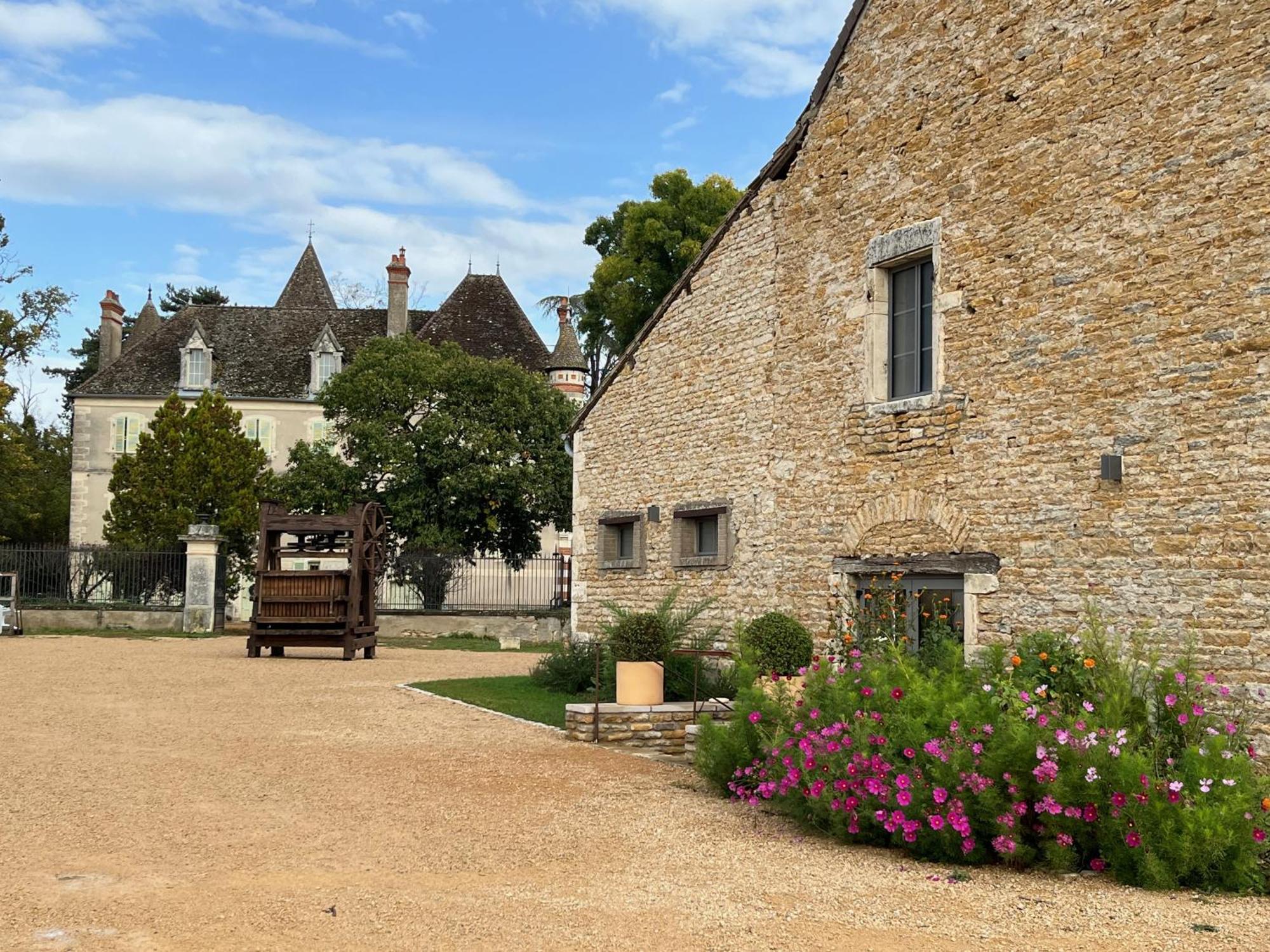 Chateau Du Mauny, Gites Et Chambres D'Hotes En Bourgogne Rosey Exteriér fotografie